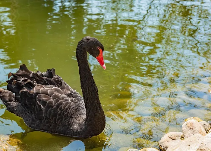 Menada In Cascadas Slantchev Briag